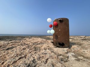 گزارش تصویری از برگزاری آئین گرامیداشت روز ملی جزایر ایرانیِ خلیج فارس در ابوموسی 25