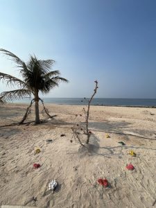 گزارش تصویری از برگزاری آئین گرامیداشت روز ملی جزایر ایرانیِ خلیج فارس در ابوموسی 32