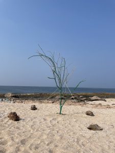 گزارش تصویری از برگزاری آئین گرامیداشت روز ملی جزایر ایرانیِ خلیج فارس در ابوموسی 16